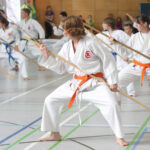 karate 3 150x150 - AKTIONSTAG FÜR MÄDCHEN & FRAUEN IN SEELOW