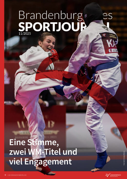 Cover Ausgabe 11-2025