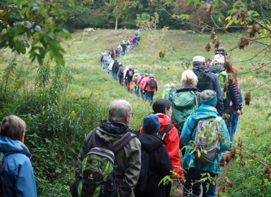 Erlebnistag Wandern 2026: Zwischen Schlössern, Kurpark und Skischanze Erlebnistag Wandern 2026: Zwischen Schlössern, Kurpark und Skischanze